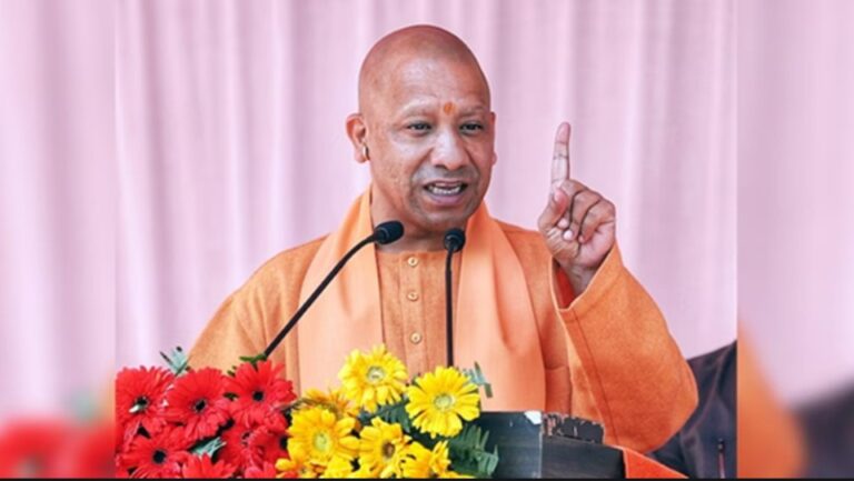 Yogi
